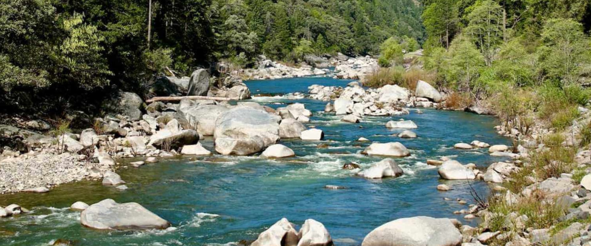 A Comprehensive Look at the Reintroduction of Native Species in the Feather River