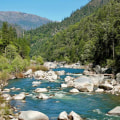 A Comprehensive Look at the Reintroduction of Native Species in the Feather River