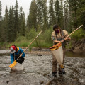 Monitoring the Health of the River Ecosystem: A Comprehensive Overview