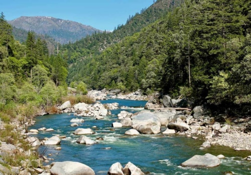 A Comprehensive Look at the Reintroduction of Native Species in the Feather River