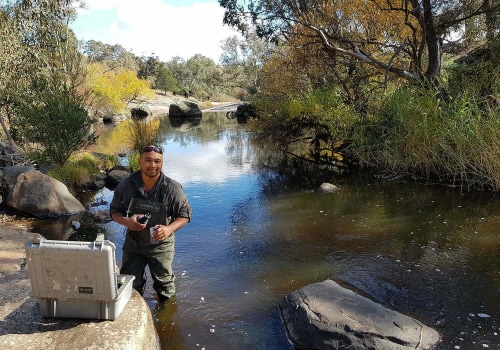 Monitoring the Health of the River Ecosystem: A Comprehensive Overview