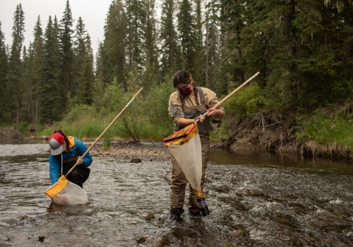 Monitoring the Health of the River Ecosystem: A Comprehensive Overview